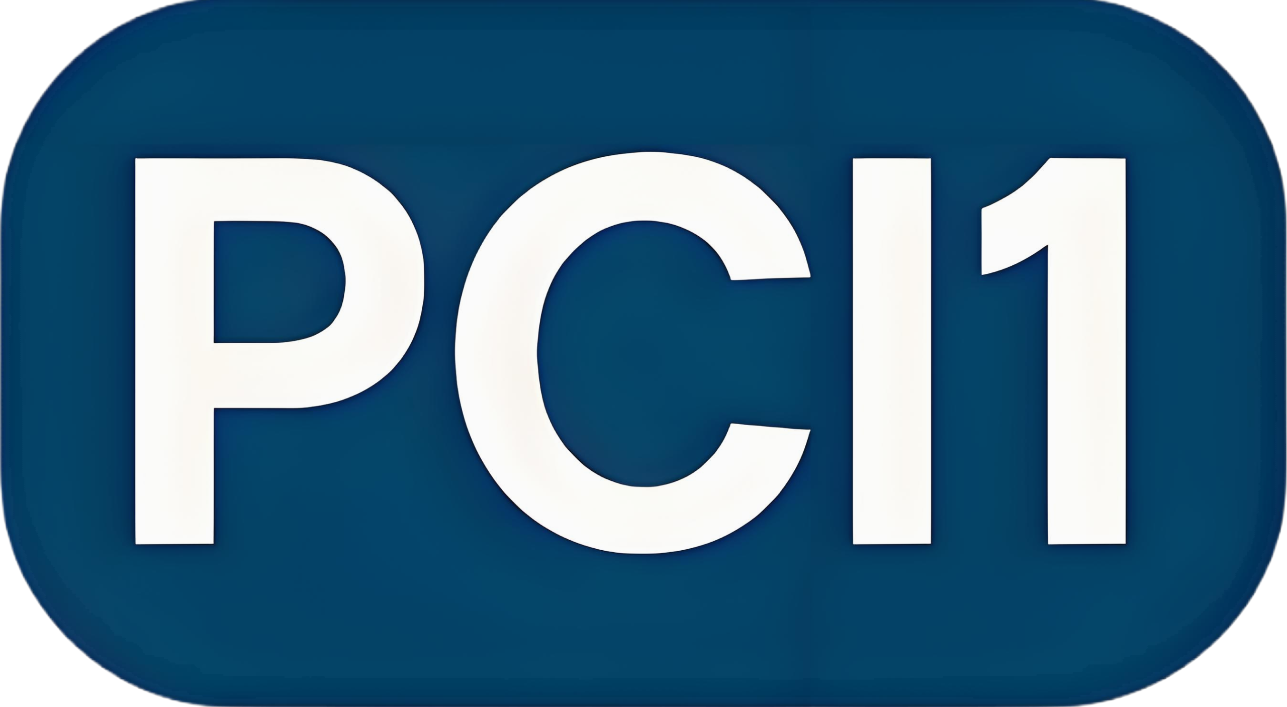 PCI1的头像-PCI1